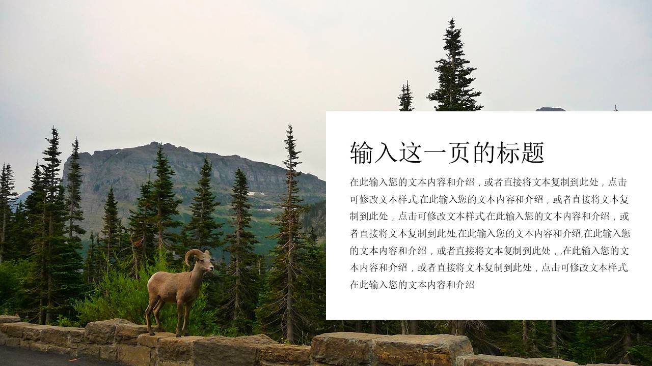 旅游画册 (19).pptx